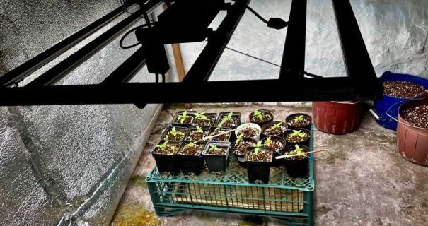 Понад 10 кг наркотиків і 670 тисяч грн: на Закарпатті викрили наркоугруповання(фото) Понад 10 кг наркотиків і 670 тисяч грн: на Закарпатті викрили наркоугруповання(фото)