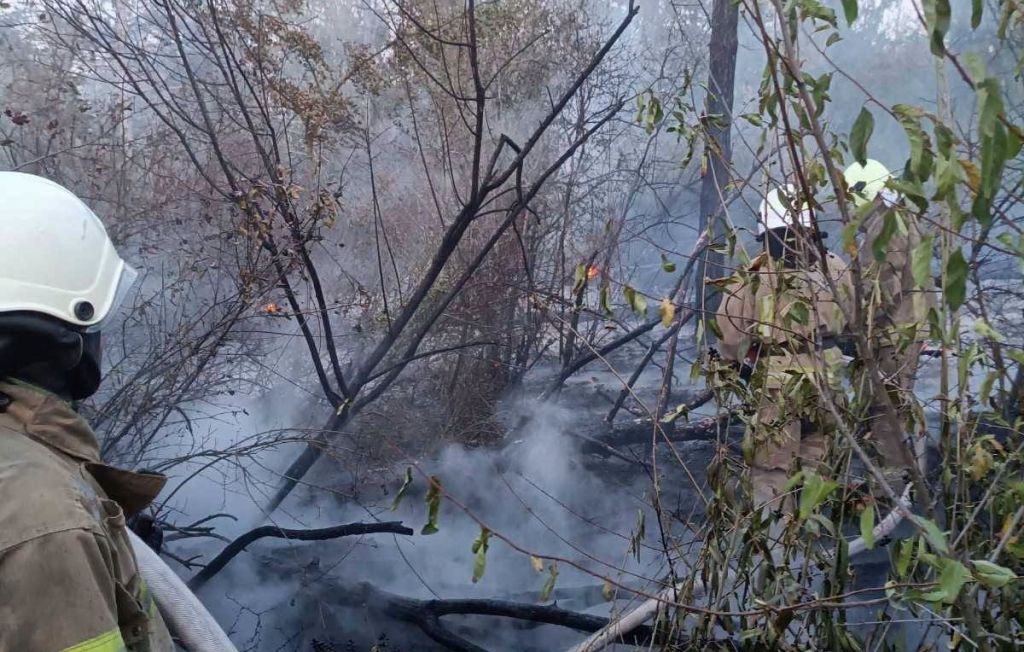 Вогонь з приватної бази ледь не спалив ліс нацпарку на півдні Одещини Вогонь з приватної бази ледь не спалив ліс нацпарку на півдні Одещини