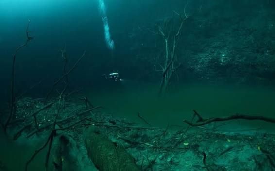 Підводна річка в Чорному морі – унікальний феномен: вона має річище, береги й навіть водоспад Підводна річка в Чорному морі – унікальний феномен: вона має річище, береги й навіть водоспад