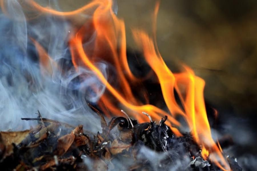В Ізмаїльському районі в лісовому масиві гасили пожежу В Ізмаїльському районі в лісовому масиві гасили пожежу