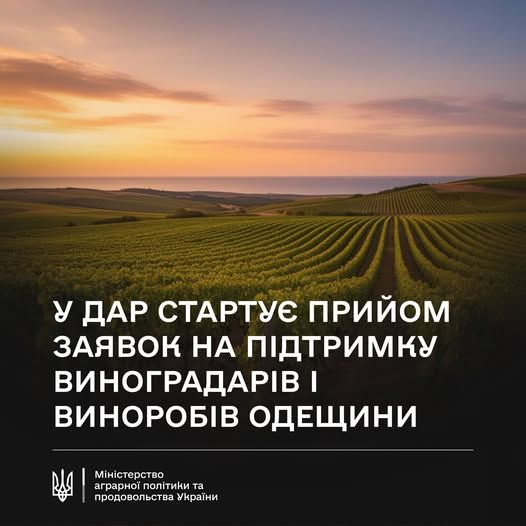Постраждалі від війни виноградарі та винороби Одещини можуть отримати допомогу Постраждалі від війни виноградарі та винороби Одещини можуть отримати допомогу