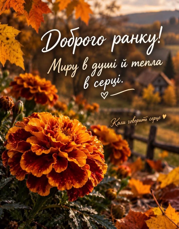 Доброго ранку Ізмаїл! Прогноз погоди на сьогодні Доброго ранку Ізмаїл! Прогноз погоди на сьогодні
