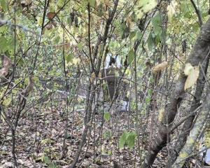 У Молдові впав і вибухнув безпілотник, системи спостереження не зафіксували перетину кордону У Молдові впав і вибухнув безпілотник, системи спостереження не зафіксували перетину кордону