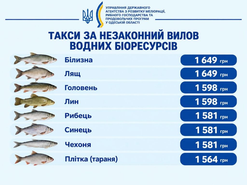 На Одещині рибалкам нагадали суми відшкодувань за незаконний вилов сома та ляща На Одещині рибалкам нагадали суми відшкодувань за незаконний вилов сома та ляща