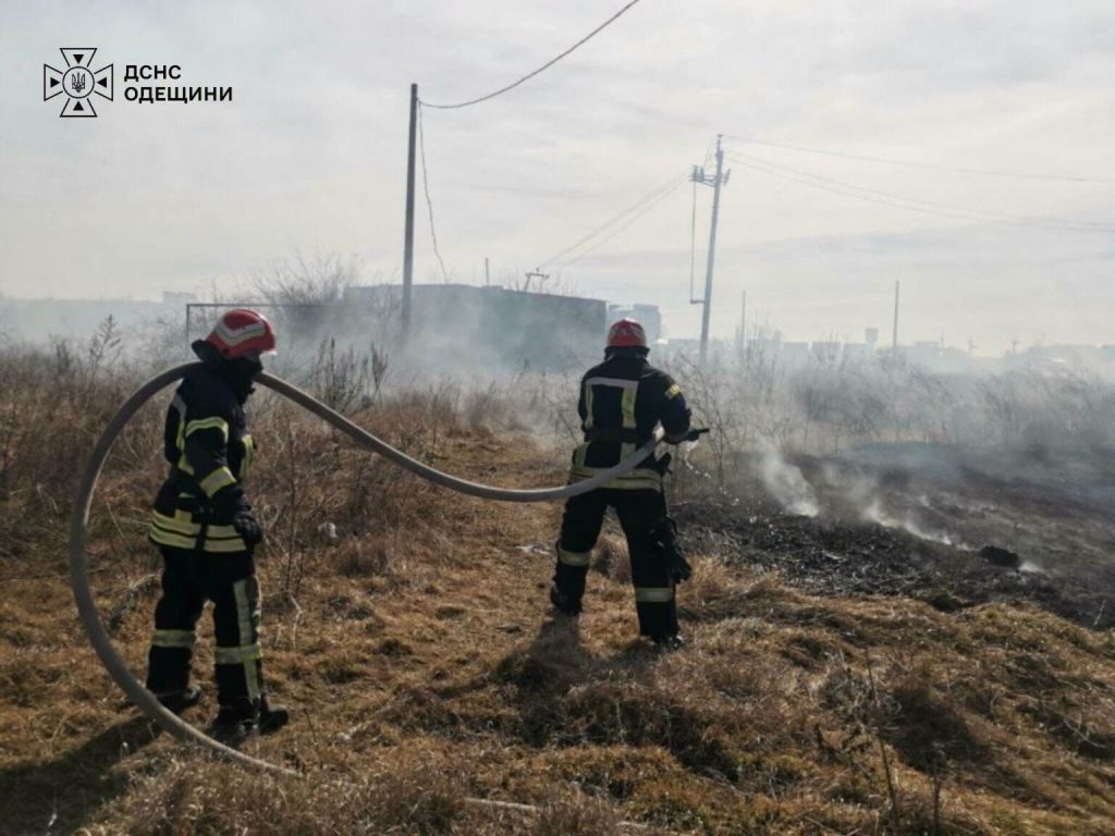 На Одещині збитки від пожеж в екосистемах сягнули майже чотирьох мільярдів гривень На Одещині збитки від пожеж в екосистемах сягнули майже чотирьох мільярдів гривень