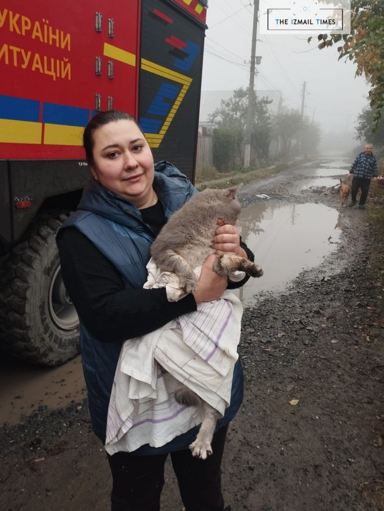 В Ізмаїлі рятувальники дістали кошеня з чотириметрової ями В Ізмаїлі рятувальники дістали кошеня з чотириметрової ями