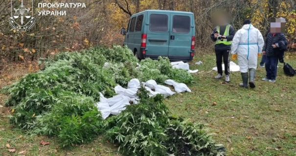 На Білоцерківщині вилучили понад 50 кг канабісу та 209 рослин конопель(фото) На Білоцерківщині вилучили понад 50 кг канабісу та 209 рослин конопель(фото)