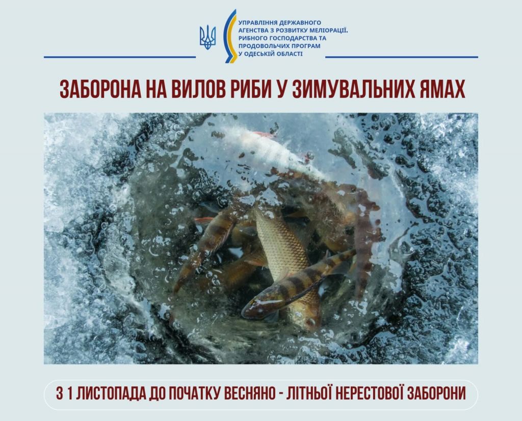 На Одещині вводиться заборона на вилов риби у зимувальних ямах На Одещині вводиться заборона на вилов риби у зимувальних ямах
