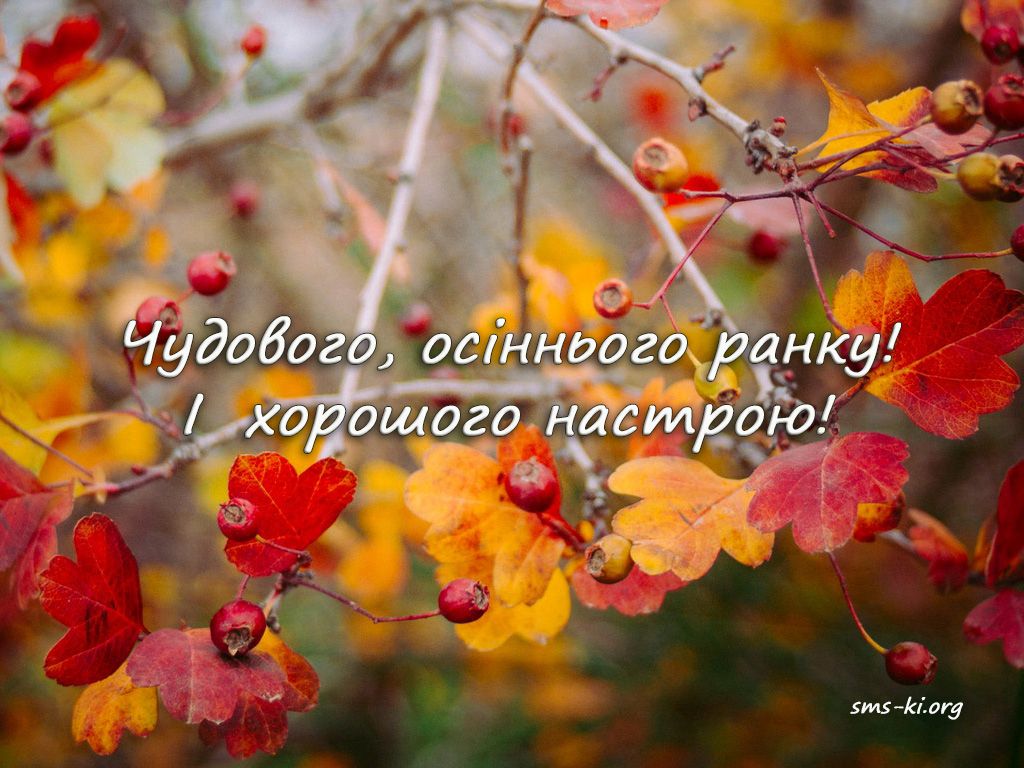 Доброго ранку Ізмаїл! Прогноз погоди на сьогодні Доброго ранку Ізмаїл! Прогноз погоди на сьогодні
